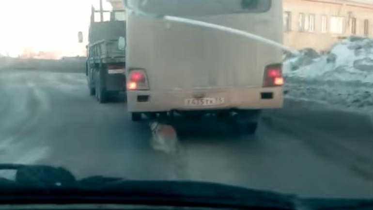 Έβαλε κούτσουρο στον άξονα και βγήκε στον δρόμο!